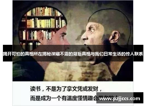 揭开可怕的真相所在揭秘深藏不露的背后真相与我们日常生活的惊人联系