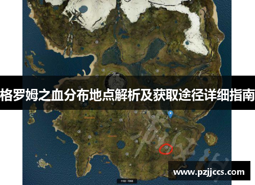 格罗姆之血分布地点解析及获取途径详细指南